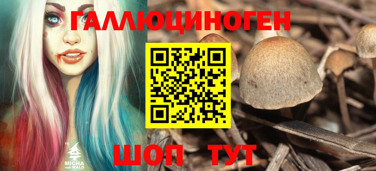 Псилоцибиновые грибы MAGIC MUSHROOMS Десногорск